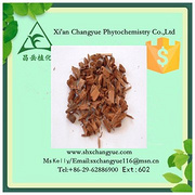  Top Quality Yohimbe P.E. 