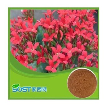 rhodiola rosea extract