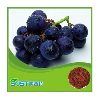 Grape seed extract