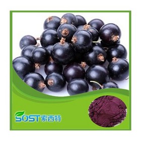 blackcurrant juice powder