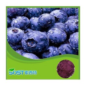 Blueberry Extract 