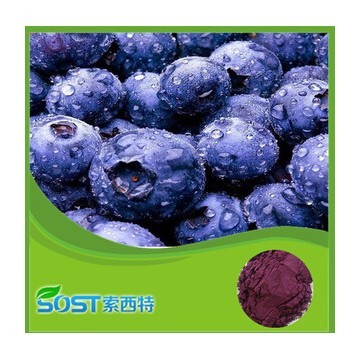 Blueberry Extract 