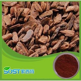 pine bark extract 