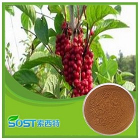 Best Price schisandra chinensis extract powder schisandrin