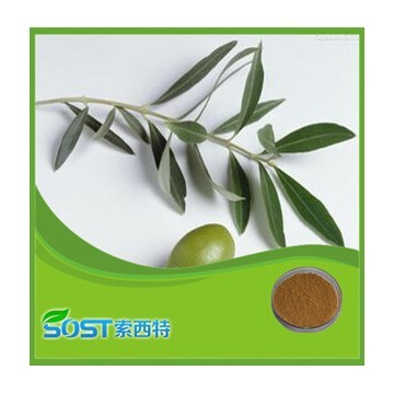 Olive Leaf Extract