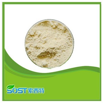 manufacturer supply high quality chitosan