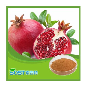 2015 new products free sample pomegranate tea powder