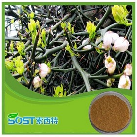 free sample high quality flower extract of crown of thorns