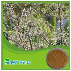 china high quality hot new products for 2015 crown of thorns extract