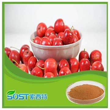 2015 express new product free sample hawthorn extract