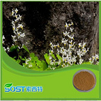 epimedium extract