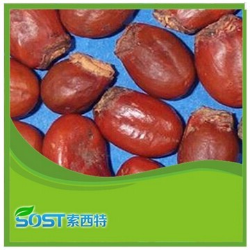 high quality free sample hot new products for 2015 litchi seed powder