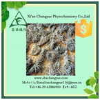 Pure Natural Valerian Root Extract 