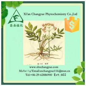 Top Quality Valerian Root Extract 