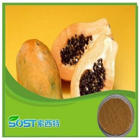 world best selling products high quality papaya juice powder