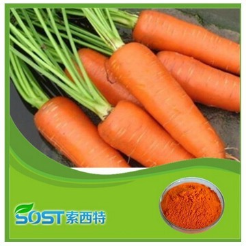 china hot new products for 2015 carrot extract powder