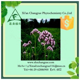 Hot Selling Valerian Root Extract 