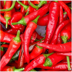 Capsaicin,Capsicum Extract/Cayenne extract/Paprika extract 