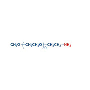 Methoxypoly(ethylene glycol) amine