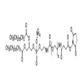 1,2-distearoyl-sn-glycero-3-phosphoethanolamine-N-[N-succinimidyl succinate(polyethylene glycol)], a