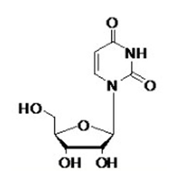 Uridine