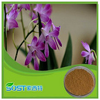 high quality hot new products for 2015 plant extract dendrobium orchid