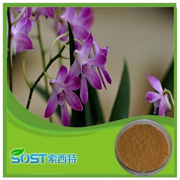 high quality hot new products for 2015 plant extract dendrobium orchid