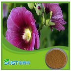 high quality hot new products for 2015 plant powder marshmallow root