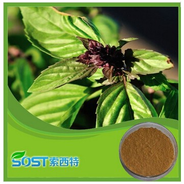 free sample herbal extract jus cool basil seed drink