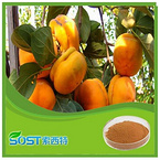 Factory Supply Free Sample persimmon extract powder