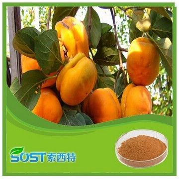 Factory Supply Free Sample persimmon extract powder