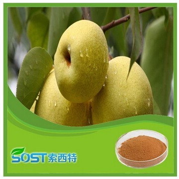 Wholesale Hot Selling pear powder