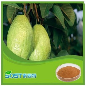 Best Selling High Quality guava juice