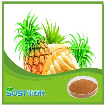 Hot Selling High Quality pineapple juice powder