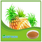 Hot Selling High Quality pineapple juice powder