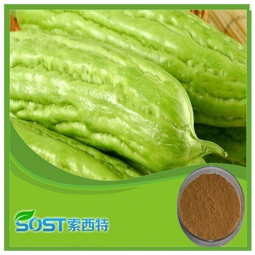 Hot Selling High Quality bitter melon powder