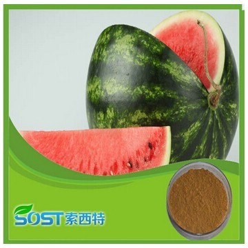 Hot Selling High Quality watermelon rind extract
