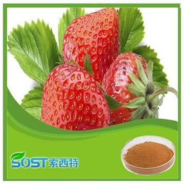 Hot Selling High Quality strawberry juice powder