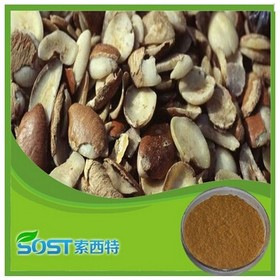 Factory Supply Free Sample mango seed powder