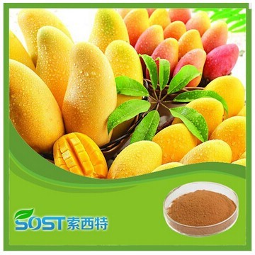 Best Selling High Quality mango juice concentrate price