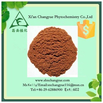 Pure natural rhodiola rosea extract 