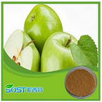 Hot Seeling China apple powder price