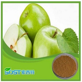 Hot Seeling China apple powder price