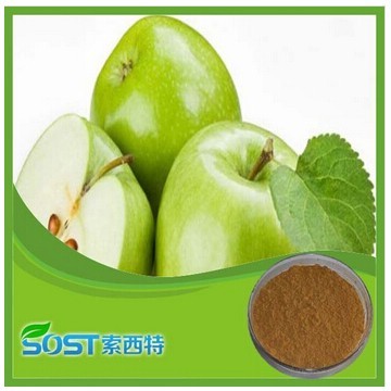 Hot Seeling China apple powder price