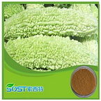 High Quality China bitter melon juice powder