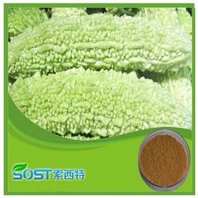 High Quality China bitter melon juice powder