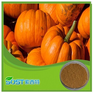 High Quality China pumpkin powder