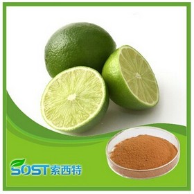 Best Selling High Quality Lemon Powder