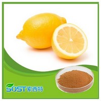 Wholesale Free Sample Dried Lemon Powder