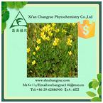 Pure Natural Catclaw Buttercup Root Extract 